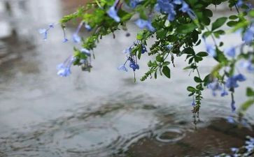 小雨滴教案推荐6篇