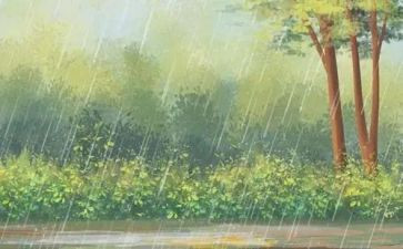江心雨作文优质5篇