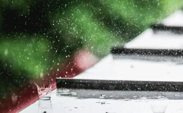 雨来演讲稿1000字8篇