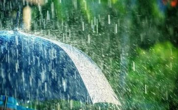 雨的优秀作文通用7篇
