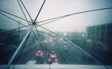 雨来故事读后感200字精选6篇