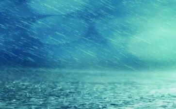 雨来读后感600字模板7篇