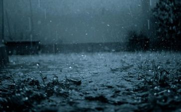 写雨水的作文优质6篇