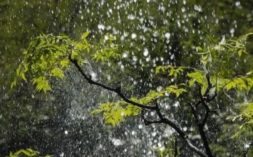 秋天的雨幼儿园教案最新7篇
