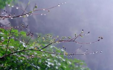 雷雨话剧观后感6篇