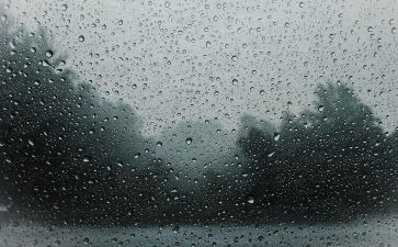 余秋雨的文化苦旅读后感6篇