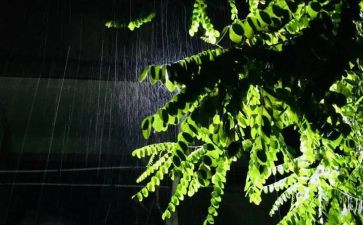 聆听雨作文8篇