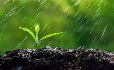 雨来读后感600字参考8篇