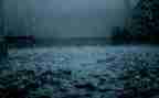 写雨水的作文优质6篇