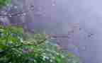 雷雨话剧观后感6篇