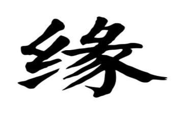 生命缘演讲稿模板7篇
