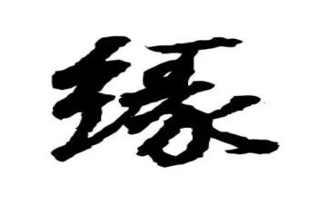 生命缘演讲稿精选6篇