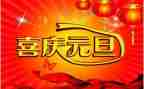 大班元旦节教案优质6篇