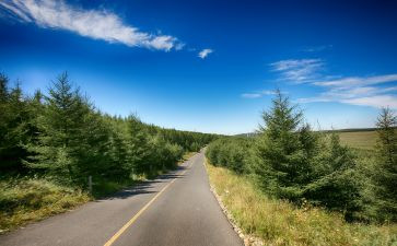 有路才有远方作文通用5篇