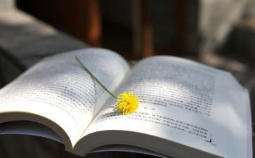 幸福原来是作文最新7篇