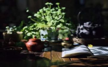 阅读节的演讲稿最新5篇