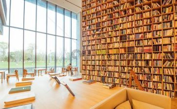 阅读之星阅读主要事迹8篇