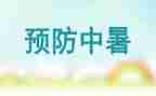 2024全国残疾预防日活动总结5篇