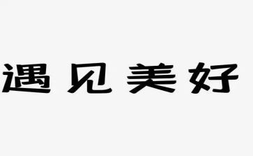 我遇见的作文优秀7篇