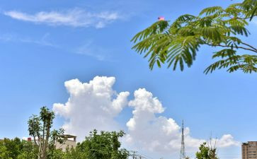 云仓实习的体会跟心得优质6篇
