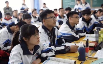 语数工作总结和计划6篇