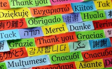 局语言文字工作自查报告7篇