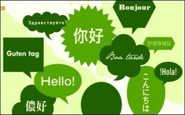 语言的调查报告8篇