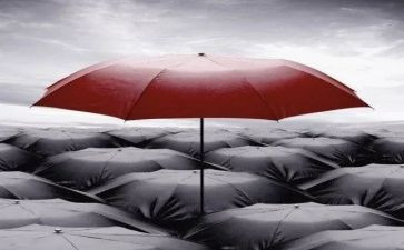 与众不同的作文600字7篇