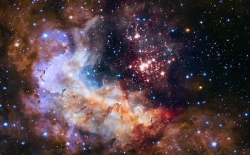 宇宙的另一边300作文最新5篇