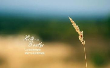 再见2024优秀作文参考8篇