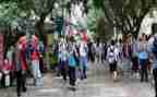 学生在校个人总结5篇