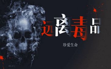 张子权观后感优秀7篇