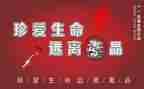 张子权观后感5篇