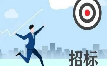 非招标工作总结7篇