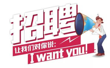 招聘个人工作总结8篇