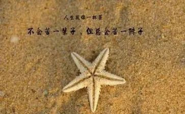 哲理式作文最新6篇