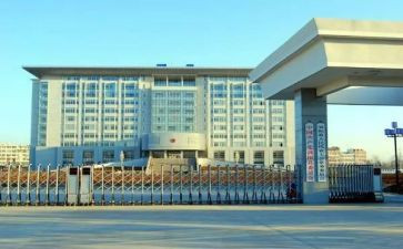 政府文秘岗工作总结8篇