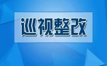 2024年药店整改报告7篇