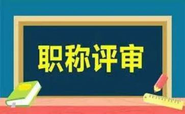 正高级专业工作总结8篇