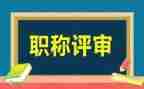 正高级专业工作总结8篇