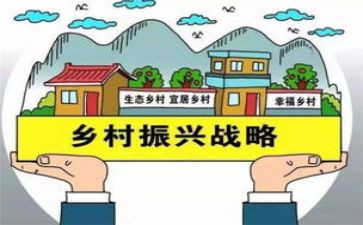 乡村振兴的个人工作总结5篇