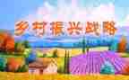 局乡村振兴工作总结8篇