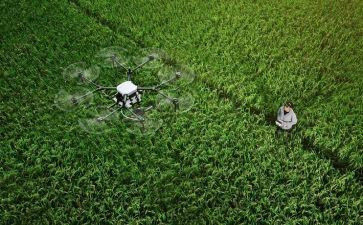 植保月工作总结8篇