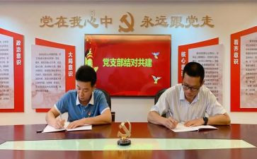 非公支部述职报告8篇