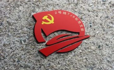 党支部年度个人工作总结6篇