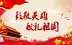 我致敬的____作文精选7篇