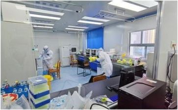抓安全重质量心得体会7篇