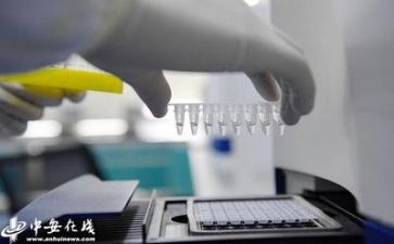 质量部的工作计划5篇