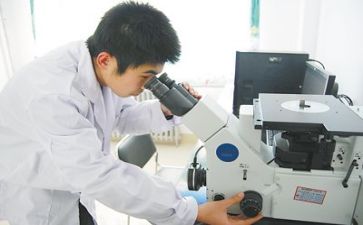 个人质量的工作总结7篇