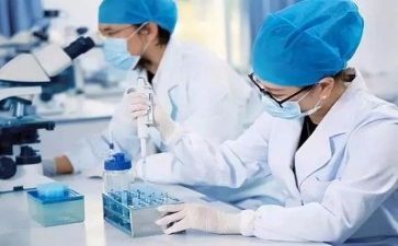 校长与质量演讲稿7篇